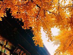 -红螺寺