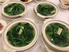 上汤浸菜苗-阿一鲍鱼·20年匠心传承(天河北旗舰店)