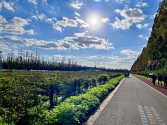 -上海长兴岛郊野公园