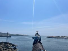-大连老虎滩海洋公园