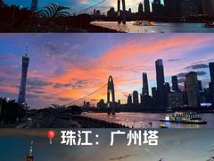 -珠江琶醍
