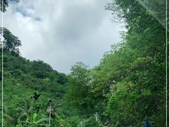 -海南热带雨林国家公园吊罗山景区
