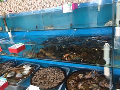 -港畔赶海蒸汽海鲜烧烤自助(仙螺岛店)