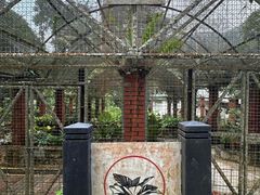 -槟城植物园