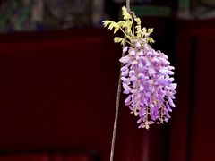-孔庙和国子监博物馆