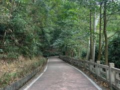 -东莞市大岭山森林公园