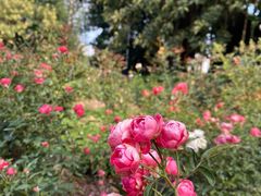 -人民公园(罗湖区)