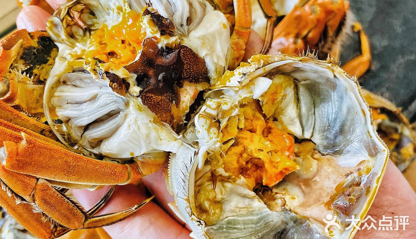 正宗美味地道大闸蟹我就认准蟹天蟹地🦀