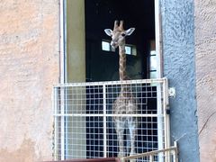 -齐齐哈尔龙沙动植物园