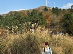 -东白山