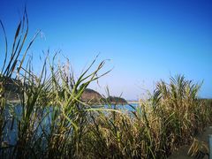 -长沙黑麋峰国家森林公园