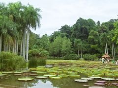-中国科学院西双版纳热带植物园
