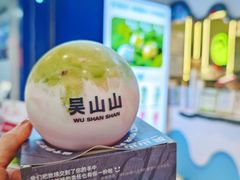 -吴山山·椰子酸奶(天河南店)