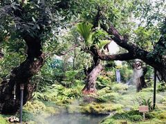 -Chom Cafe and Restaurant