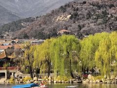 -泰山风景名胜区-虎山公园