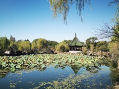 -无锡蠡湖国家湿地公园-蠡园