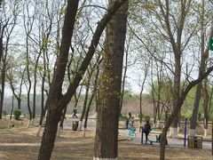 -丁香湖公园