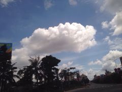 茂名森林公园-广东茂名森林公园