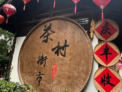 -天目湖山水园