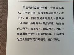 -张掖市博物馆