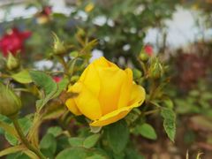 -北京植物园南门售票处