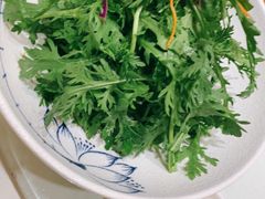-宝燕壹号(徐汇店)
