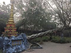 -瑞丽独树成林风景区