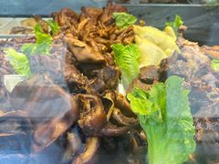 -三毛烤鸡(清泰街店)