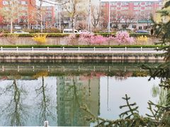 -陶然亭公园