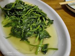 -毛草房(南辛庄街店)