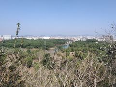 -聚龙山公园