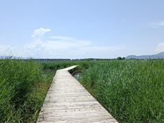 -野鸭湖国家湿地公园