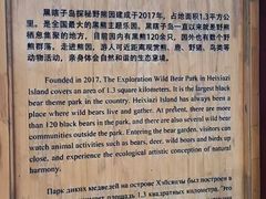 -黑瞎子岛探秘野熊园