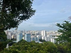 -花柏山公园
