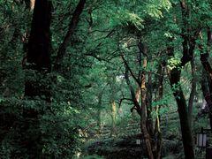 -岳麓山风景名胜区