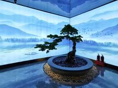 -大逸传奇·足道SPA(天美店)