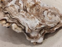 -千岛蚝高压锅生蚝·人参火锅(白云万达店)