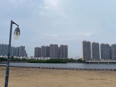 -五缘湾湿地公园