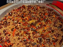 -龙人居·水煮鱼(五道口店)