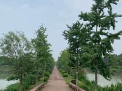 -白鹭湾湿地公园