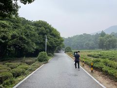-灵顺寺