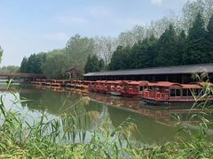 -溱湖国家湿地公园