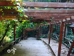 -大岭沟猕猴桃谷风景区