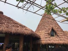 -白洋淀景区