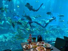 -海棠湾洲际-涛·海底餐厅·美人鱼·自助餐·海底隧道