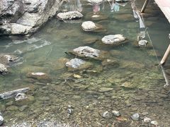 -石台牯牛降景区