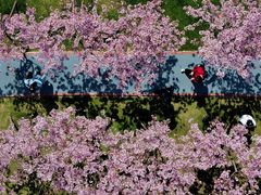 -福建鲤鱼洲酒店