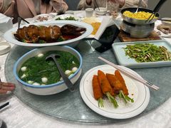 -丁老爷子苏香圆