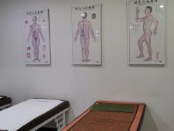 -赵大夫减肥