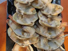 马蹄贝.-南浦洞·炭烤活海鲜·烤肉·延边特色(学府街店)